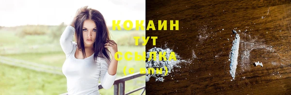дживик Аркадак