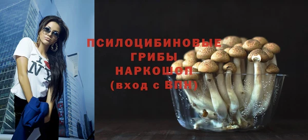 ПСИЛОЦИБИНОВЫЕ ГРИБЫ Армянск
