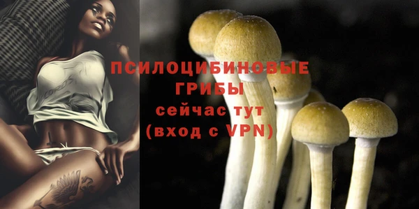 дживик Аркадак