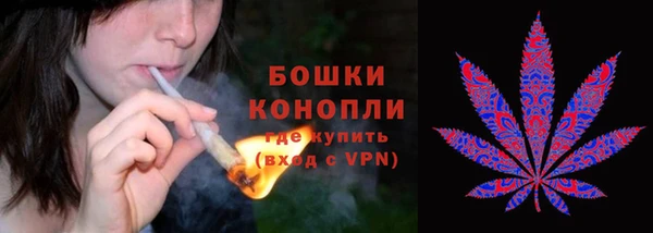 ПСИЛОЦИБИНОВЫЕ ГРИБЫ Армянск