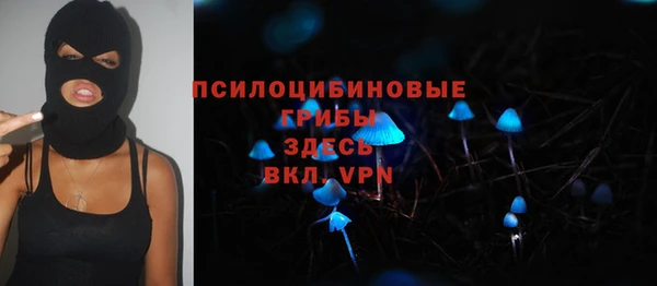 скорость Арсеньев