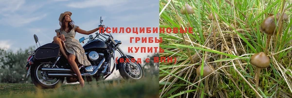 скорость Арсеньев