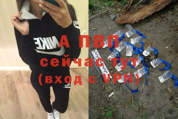 дживик Аркадак